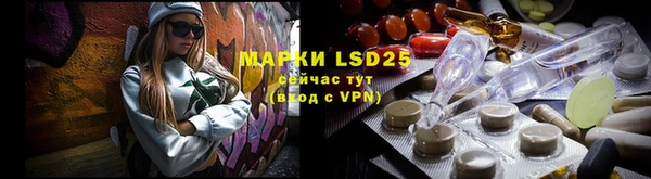 spice Богородицк