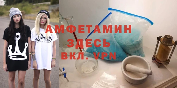 spice Богородицк