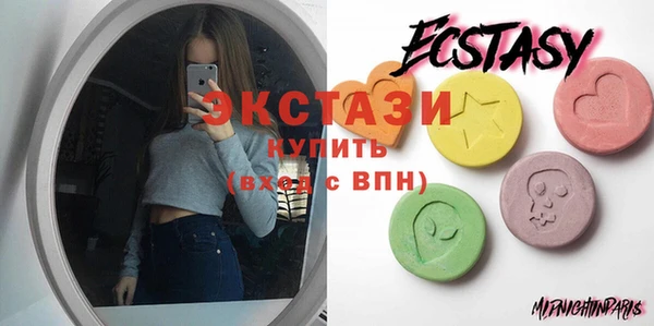 spice Богородицк