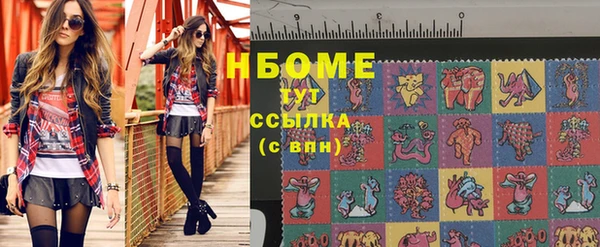 spice Богородицк