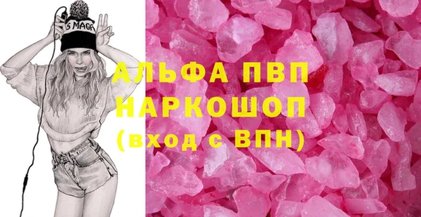 spice Богородицк