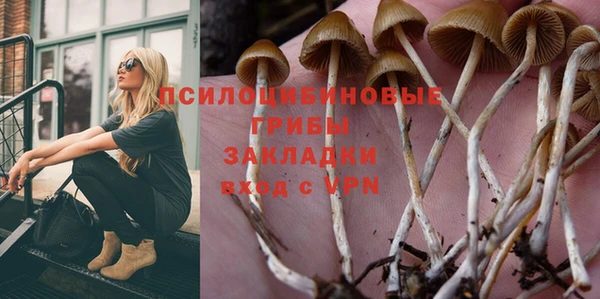 таблы Богородск