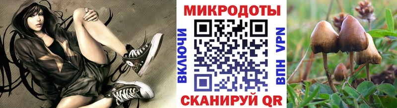 Галлюциногенные грибы мухоморы мориарти формула Иркутск